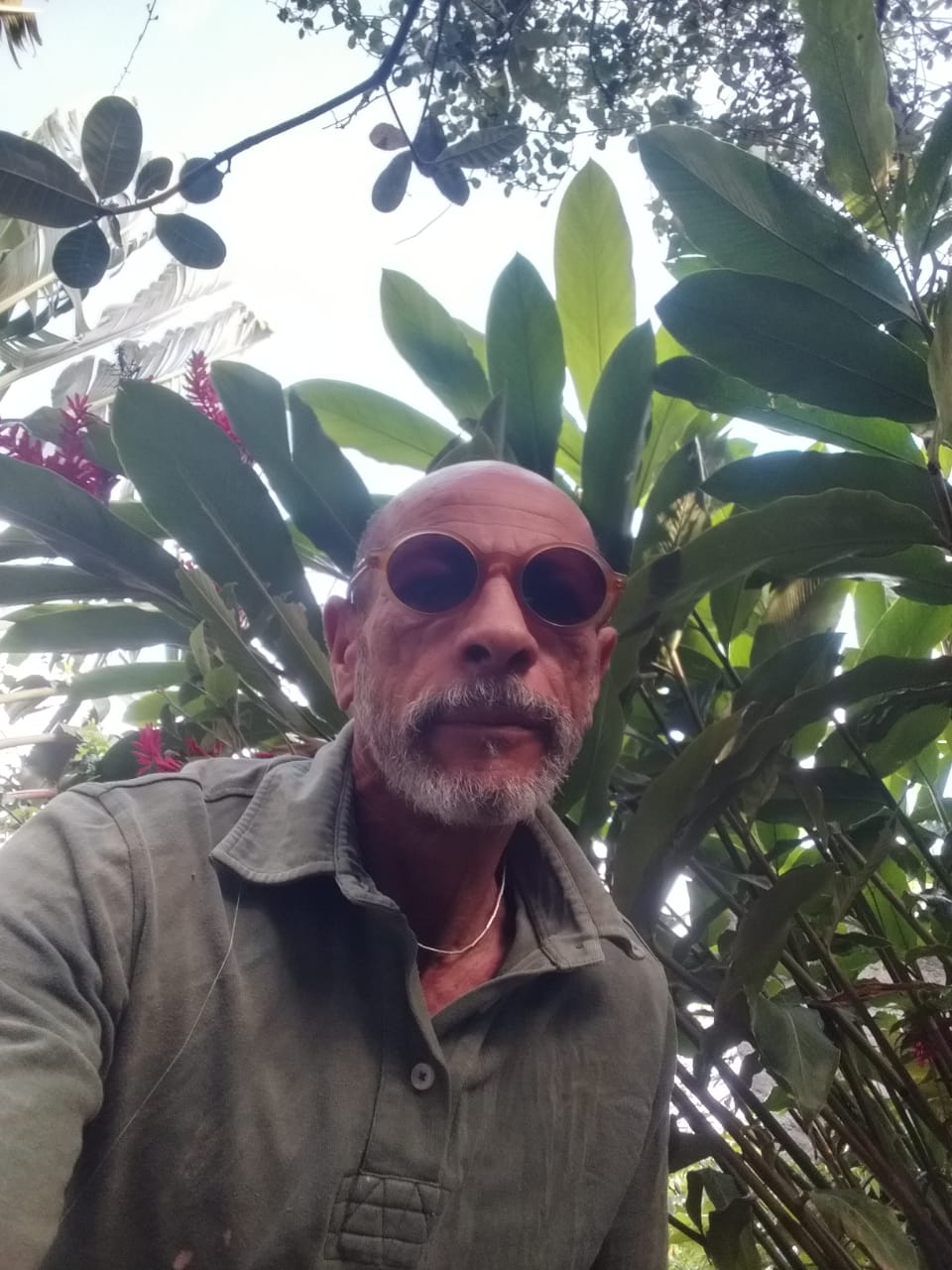 João Serafim